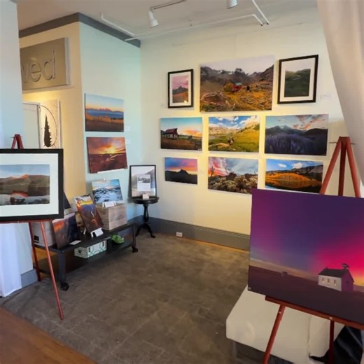 Colorado Horses Print, Autumn Aspen Photography, Fall Landscape Wall Art, Rustic Mountain Decor, Nature and Wildlife Photo - Etsy