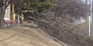 Crews in Franklin County work to clean up fallen trees and restore power