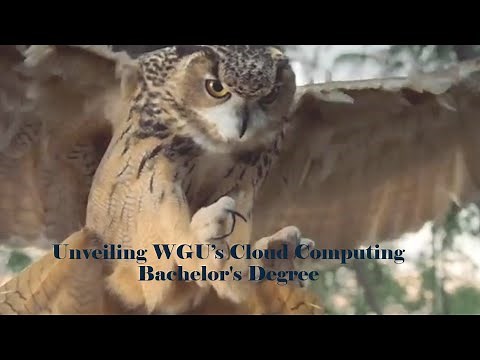 Unveiling WGU's Cloud Computing Bachelor's Degree