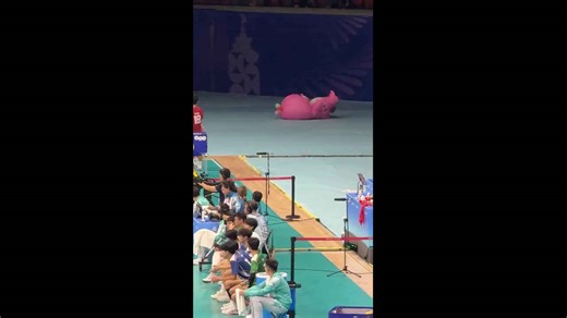 Mascot shows impressive dance skills at event in Guangdong, China