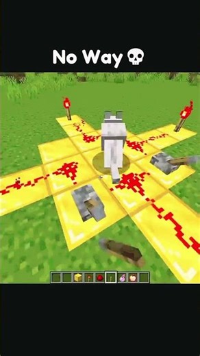 Minecraft With Moded Dogs 💀💀