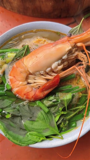Tôm Mì Tôm Dọn Vườn Nhà