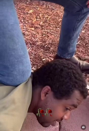 Well well well… #memestiktok #fyp #funnyvideo