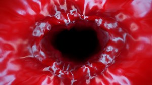 Download red pulsating blood vessel vj loop background. High quality 4k footage for free