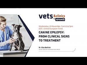 8. INT - Canine epilepsy: from clinical signs to treatment
