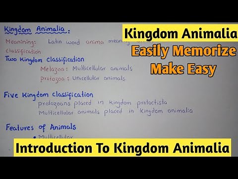 Introduction To Kingdom Animalia | Kingdom Animalia | Class 11 Biology