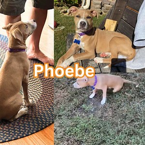 16 reactions · 11 shares |  Look Who’s Learning! 殺Phoebe is on a...