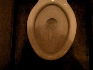 150th video: Large City Park restroom - full shoot