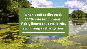 Crystal Plex - Lake and Pond Algaecide Treatment - Liquid Copper Algaecide Kills and Prevents Various Types of Algae (Planktonic, Filamentous, Chara) - 1 Gallon Treats up to 1 Acre