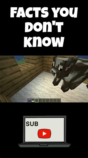 Minecraft Secret Hacks That Pro Players Use! 🤯😱