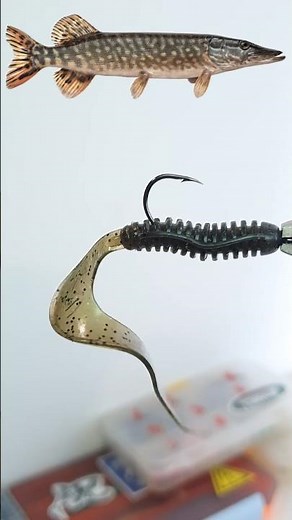 How To Rig A Ribbon Tail Perfectly! ❌➡️✅