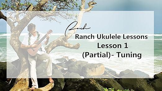 d54dfbcfd7854ce7ac17ef72dacda1c2