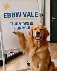 👋 WANTED: Dog owners from EBBW VALE who want the chance to TEST 3 months of Butternut Box for FREE! ✅Human-quality ingredients ✅Not canned, not dry, not raw ✅Fresh, healthy, and hypoallergenic ✅No fillers or artificial preservatives ✅Perfectly portioned and delivered directly to your door ✅Gently cooked with the right balance of vitamins and minerals 👉 Don't miss out on this amazing offer for your dog! Have the chance to TEST 3 months of Butternut Box for FREE get 25% OFF your first 2 boxes! C