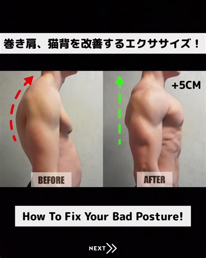 姿勢改善エクササイズ #筋トレ #ワークアウト #姿勢改善 #フィットネス