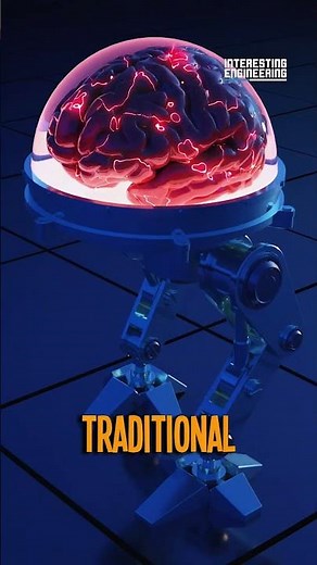 Living Tissue Robot: A Biohybrid Breakthrough