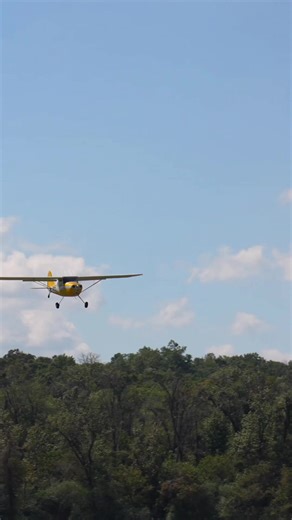 Windy Landing at Triple Tree ｜ Cessna 170-000 #popumarket #TheOpen #summertrends #blackdress #pantryorganization | John Mitchell