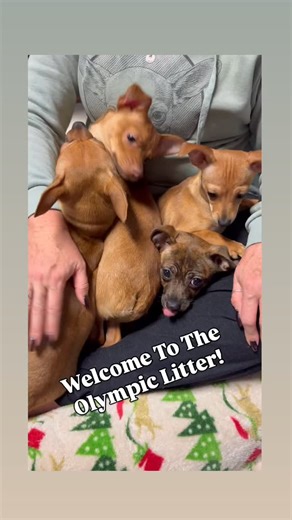 Small But Mighty | More details to come! #smallbutmighty | Instagram