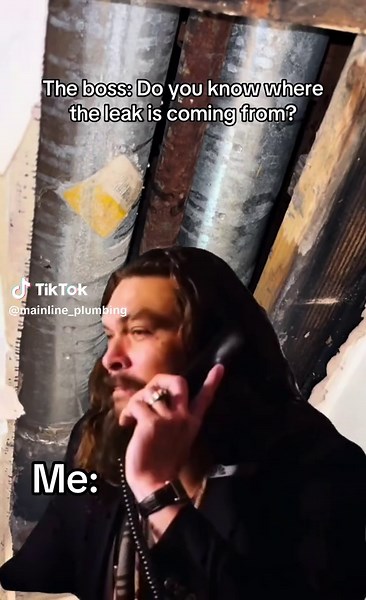 Boss Calls About Leak: A Plumber's Dilemma