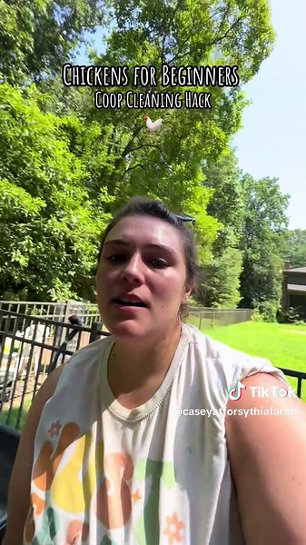 Essential Chicken Care Tips for Beginners