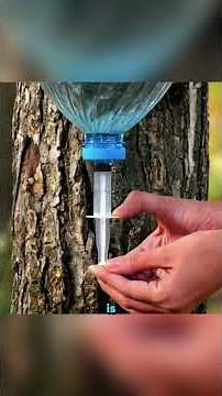 Science So Cool, It Looks Like a Magic Trick!