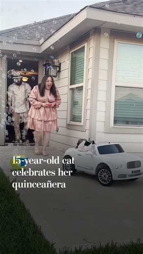 15-year-old cat celebrates her quinceañera