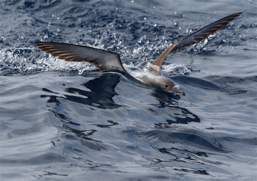 2.2K views · 42 reactions | We’re always proud to share the important...