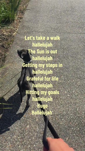 Embracing Gratitude: A Motivational Walk