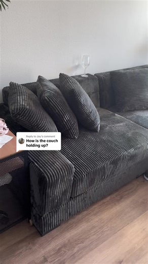 Couch Review: One Year Update on My Wayfair Sectional