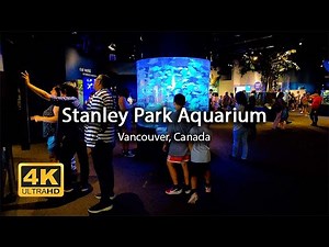 [4K] Vancouver Aquarium at Stanley Park, Vancouver Canada | Walking Tour | Island Times