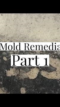 We fired our mold remediation company!!
