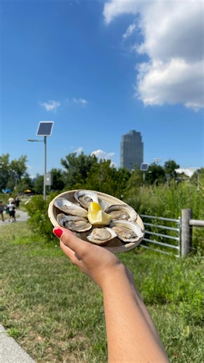 Smorgasburg on Instagram: "15 YEARS OF SMORGASBURG Fifteen years ago, Smorgasburg opened its gates in Williamsburg with a simple idea: to give local chefs, food dreamers, and small businesses a place to shine. What started as a weekend experiment has grown into New York City’s largest—and most beloved—outdoor food market. Over the years, we’ve seen thousands of flavors, countless memories, and an ever-growing community of eaters and makers. To every vendor who took a chance, and every guest who 