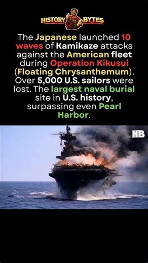 Okinawa Naval Losses to Japanese Kamikaze Attacks #shorts #facts
