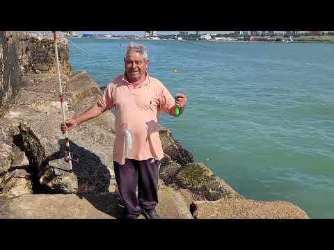 CURRENT EVENTS FROM THE SOUTH BREAKWATER