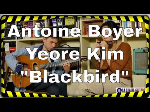 Blackbird - Yeore Kim & Antoine Boyer