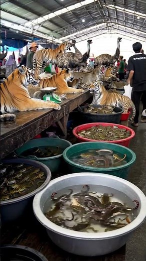 Cinematic Life at Indonesian Market – Live Animals and Street Vibes in 4K