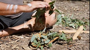 Australian Aboriginal Smoking Ceremony, man preparing green leaves on a traditional wooden bowl as part of an ancient indigenous custom.