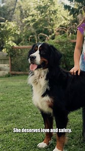 2.2K reactions · 116 comments | **Update on the Ruby Rescue Mission | Illumination Studios: Photo and Video | Facebook