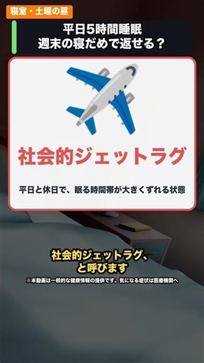 平日5時間睡眠、週末の寝だめで返せる？【ずんだもん論文ラボ】