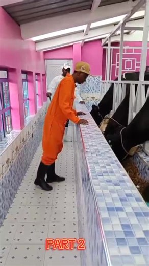 Sky dairy farm (@sky.dairy.farm)’s videos with original sound - Sky dairy farm