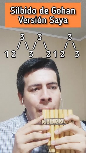 Zampoña Dragon Ball Melodies: Gohan Whistle & Flute Music