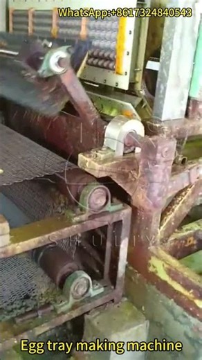 Streamlined Egg Tray Making Machine: Revolutionizing Packaging Solutions