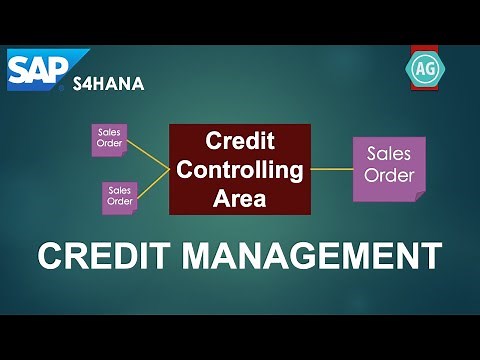 Automatic Determination of Credit Controlling Area in the Sales Process in SAP S4HANA