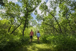 25 Hiking Trails In and Around Regina