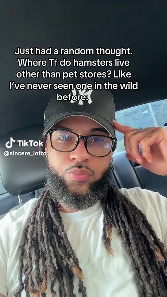 Where Do Hamsters Live in the Wild?