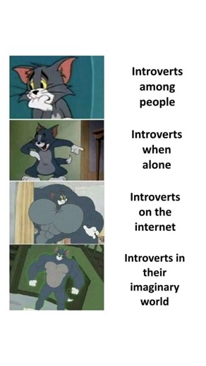 Introvert Memes 20