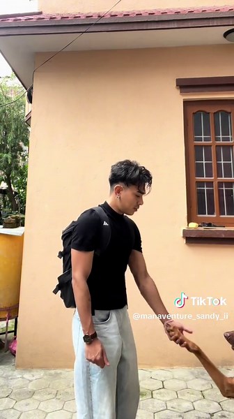 Exploring Doberman Breed Characteristics and Care Tips