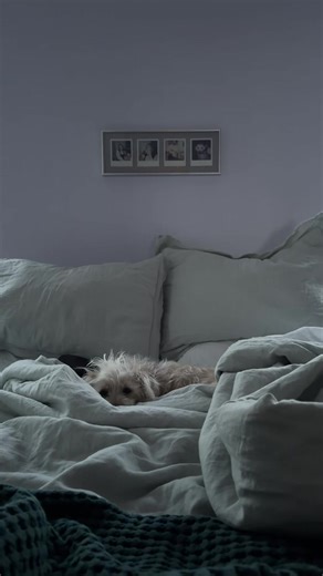 Life in New York: Apartment Living Insights