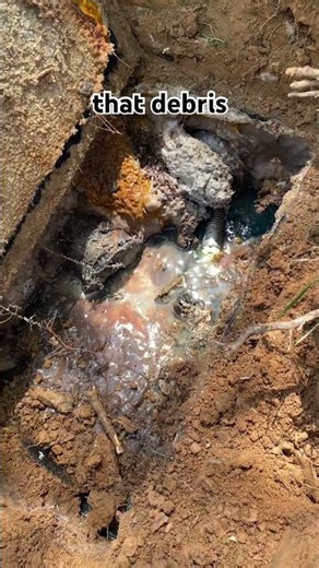 One Missing Septic Part Can Wreck Your System