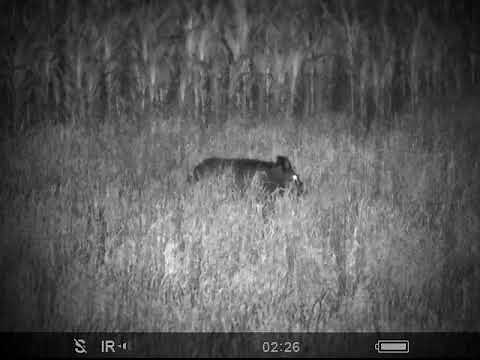 Firma Jagdspezi testet das Pulsar FN 455