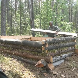 Year-long Journey: Building a Log Cabin - Part 2: Walls and Roofing #outdoorcamping #outdoorcooking #survival #tent #shelter #campinggear #campingtrip #outdoor #outdoors #campingtools #campingtents #outdoorlife #foryou #solocamping #fyp #viral #bushcraft #build #camp #camping #campinglife | Tech Moments